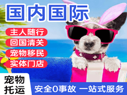 连云港花果山机场货运国际宠物托运 【国